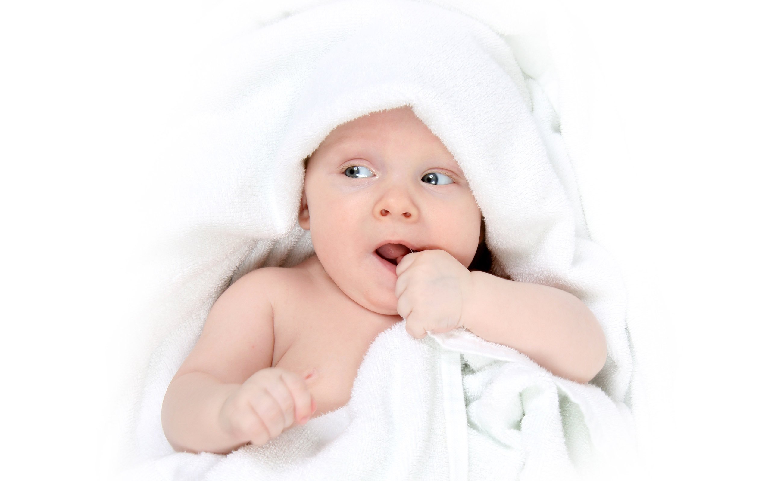 捐卵公司国内试管婴儿成功率排名